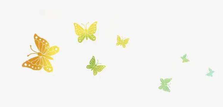 蝴蝶